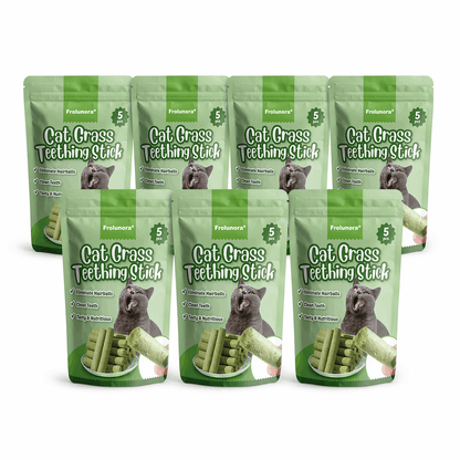 Frolunora® Cat Grass Teething Sticks upsell