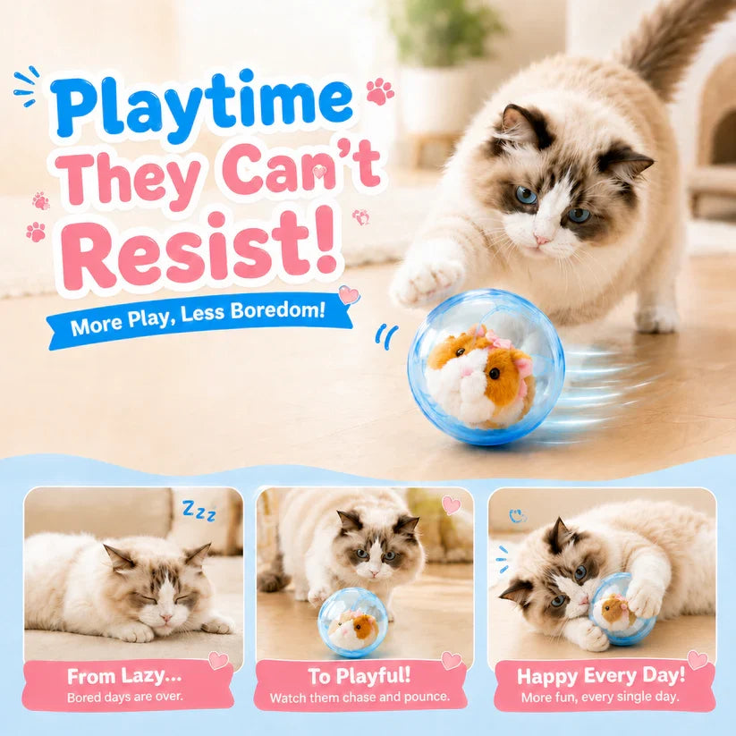 Frolunora® Self-Rolling Interactive Cat Ball
