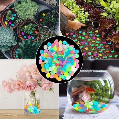 Frolunora® 🌈Colorful Glow-in-the-Dark Garden Stones