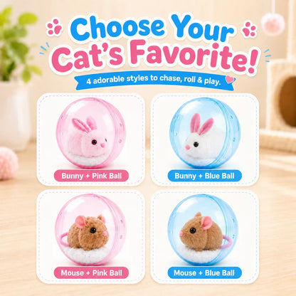 Frolunora® Self-Rolling Interactive Cat Ball