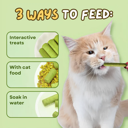 Frolunora® Cat Grass Teething Sticks 😺