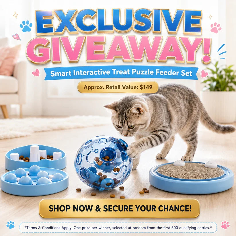 Frolunora® Self-Rolling Interactive Cat Ball