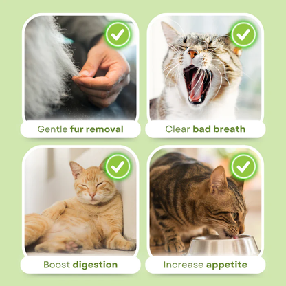 Frolunora® Cat Grass Teething Sticks 😺