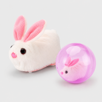 Pink Ball + White Rabbit