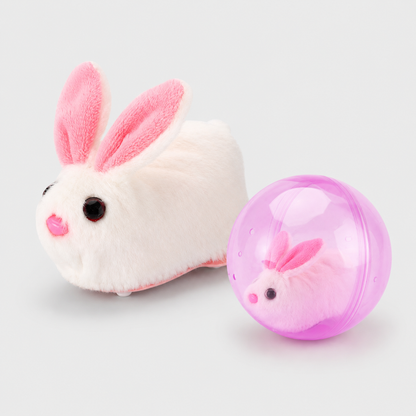Frolunora® Self-Rolling Interactive Cat Ball