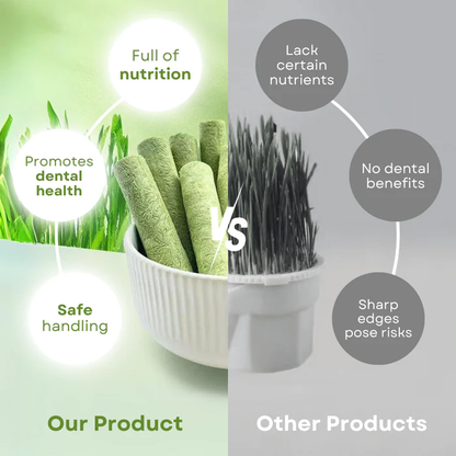 Frolunora® Cat Grass Teething Sticks 😺