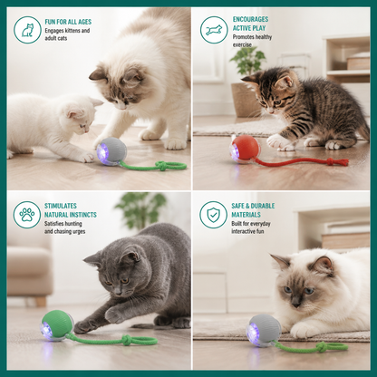 Frolunora®  Interactive Play Ball With Tail For Cats