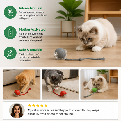 Frolunora®  Interactive Play Ball With Tail For Cats