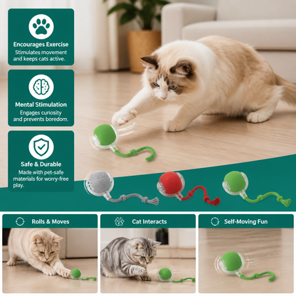 Frolunora®  Interactive Play Ball With Tail For Cats