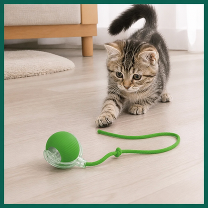 Frolunora®  Interactive Play Ball With Tail For Cats