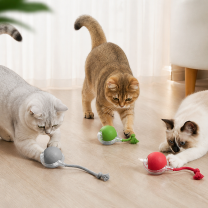 Frolunora®  Interactive Play Ball With Tail For Cats