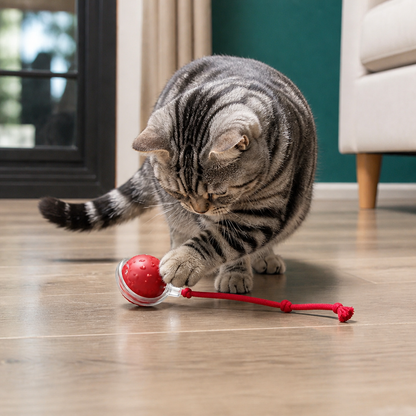 Frolunora®  Interactive Play Ball With Tail For Cats