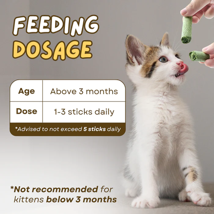 Frolunora® Cat Grass Teething Sticks 😺